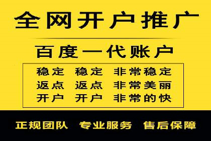 SEM推广实战：成功案例剖析
